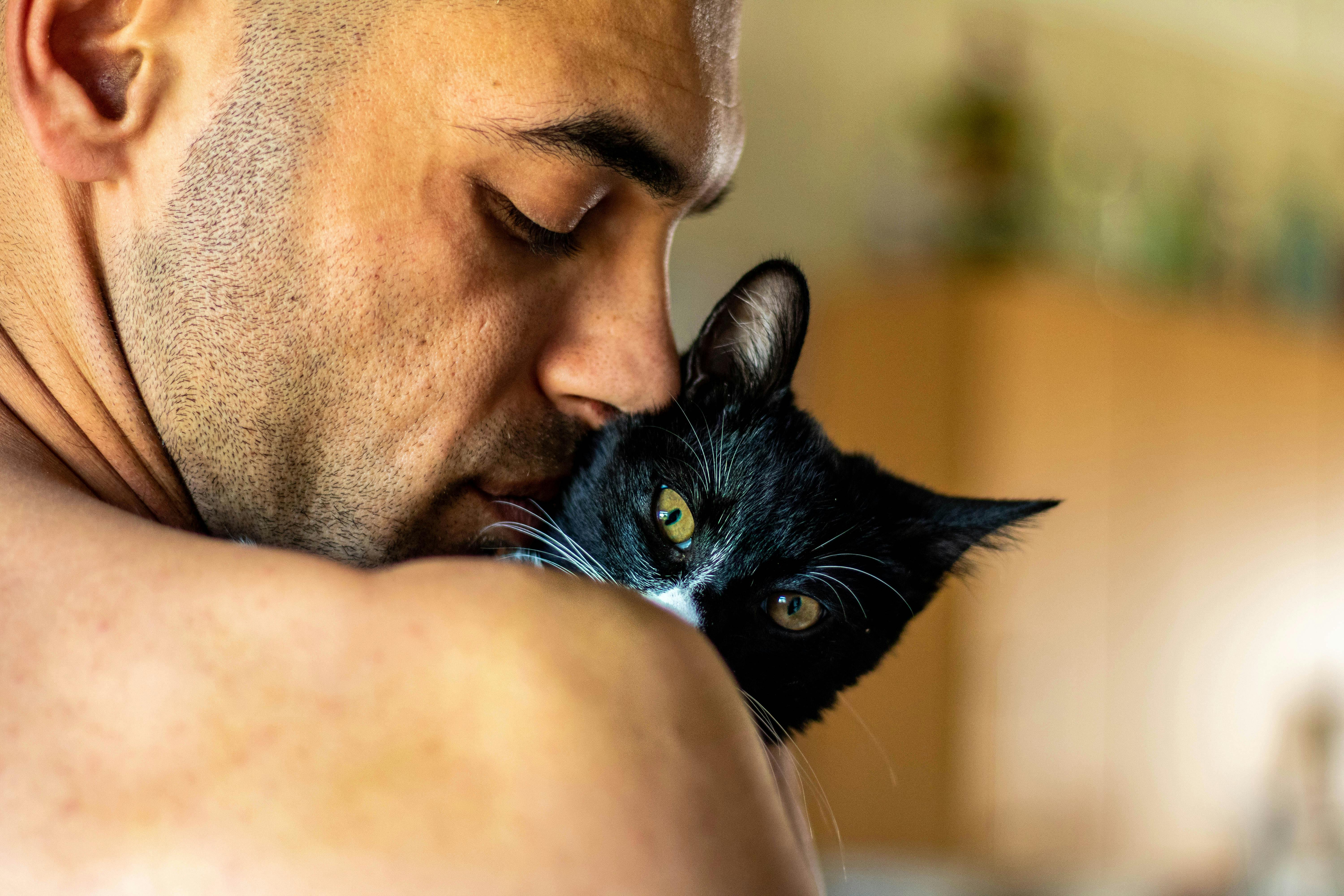 Chat jaloux : mythe ou réalité ?